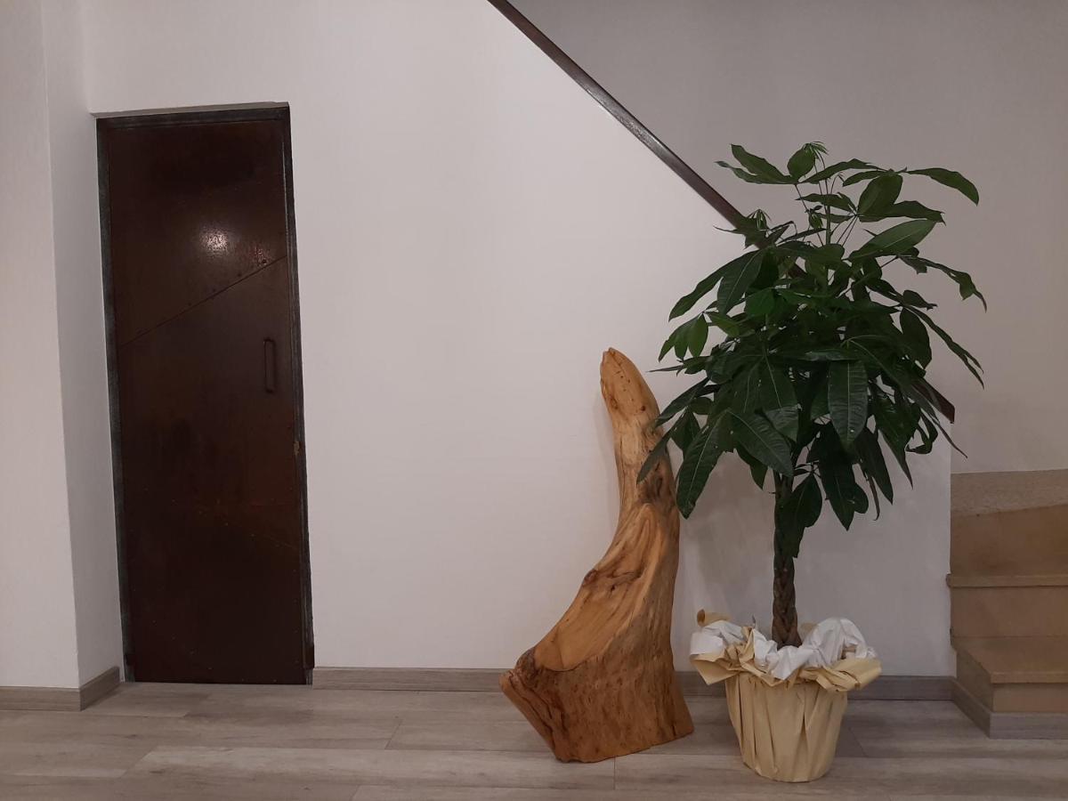 Ghizzano B&B Da Baba מראה חיצוני תמונה